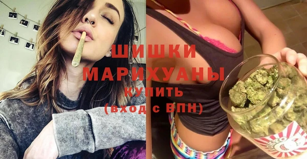 дживик Сатка