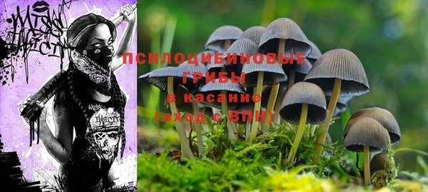 mdma Инсар
