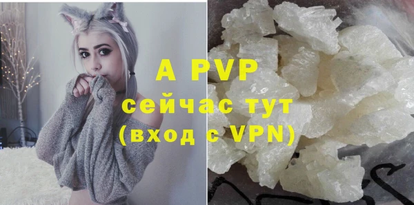 мяу мяу мука Сафоново