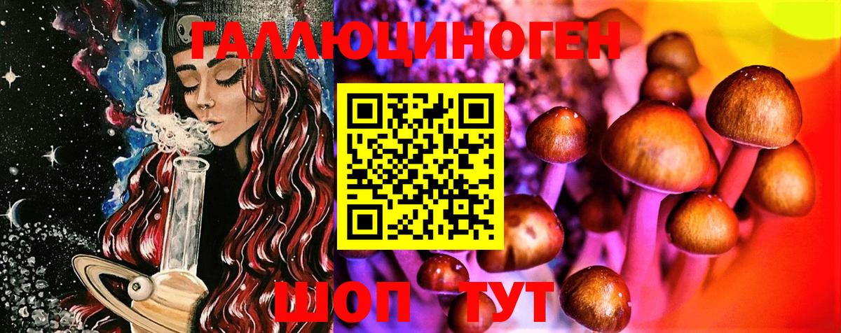 Галлюциногенные грибы Psilocybe Соль-Илецк