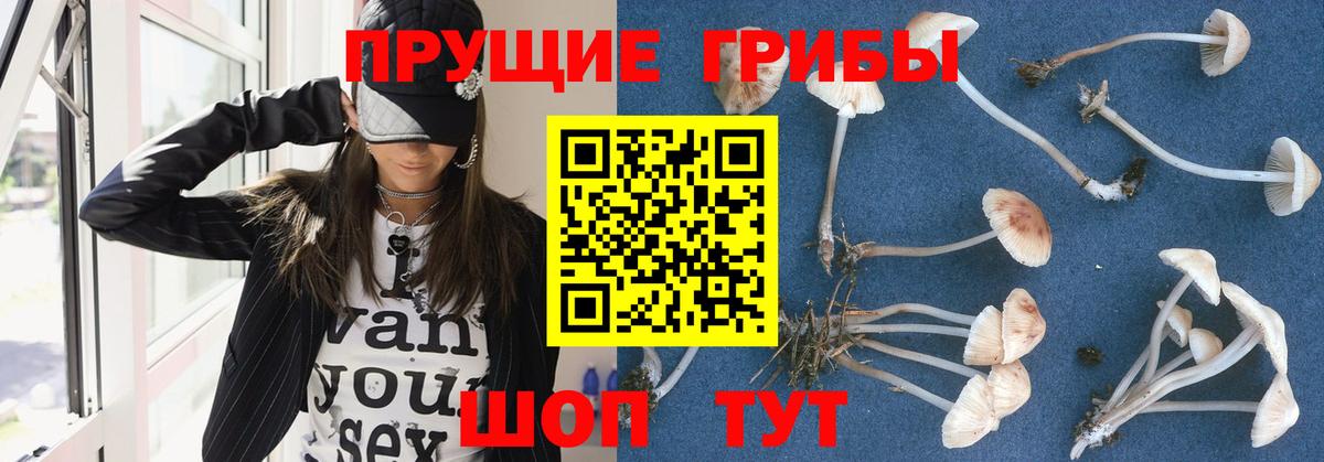 Соль-Илецк  Псилоцибиновые грибы Magic Shrooms  Галлюциногенные грибы Magic Shrooms  Вход с VPN 