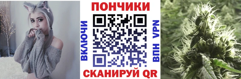 Канабис Amnesia  купить закладку  Соль-Илецк 
